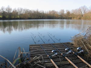 carp fishing